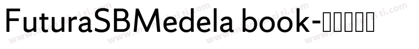 FuturaSBMedela book字体转换